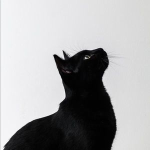 Meet your Posher, J L